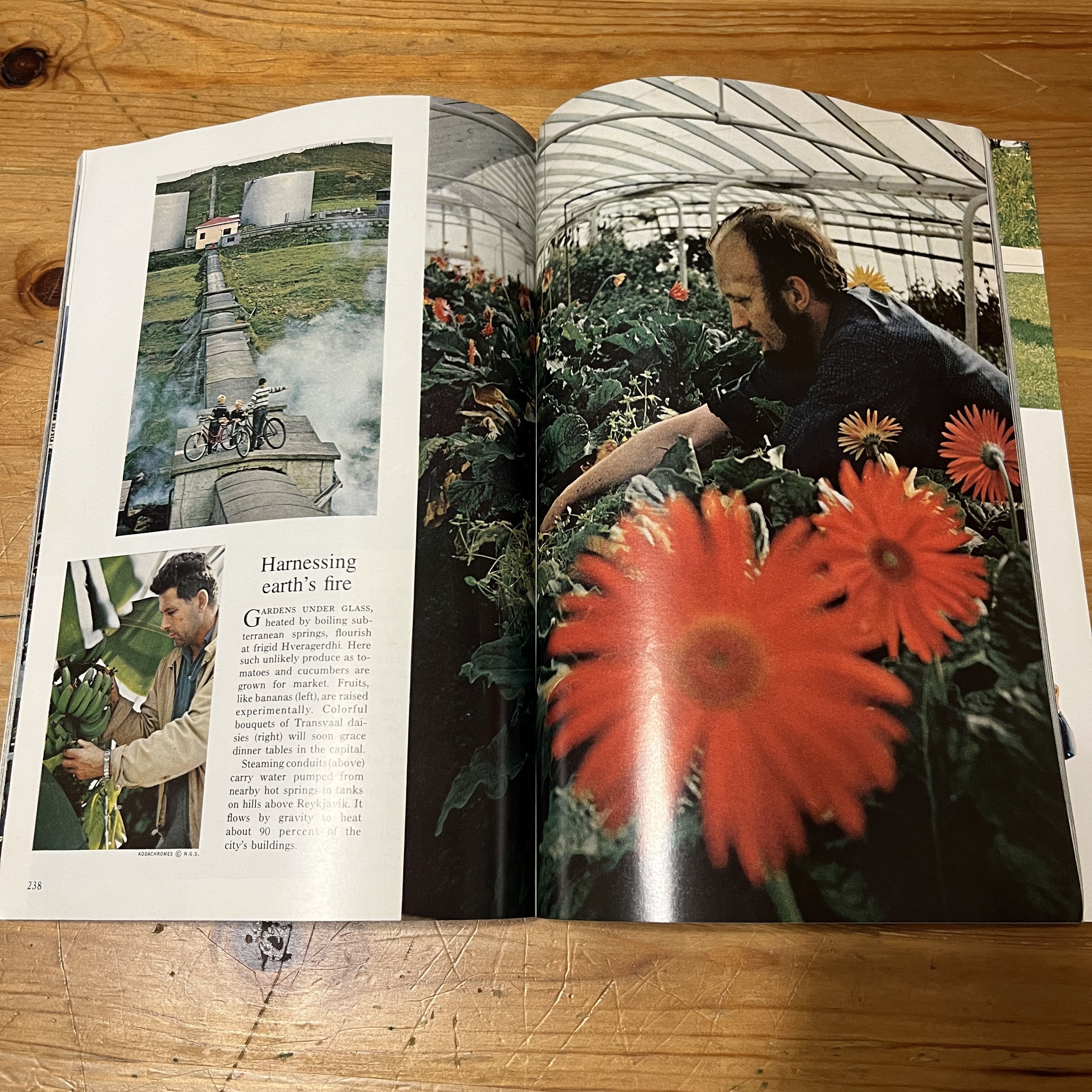 Magazine, August 1969-Colorado Rockies Cover — image 3