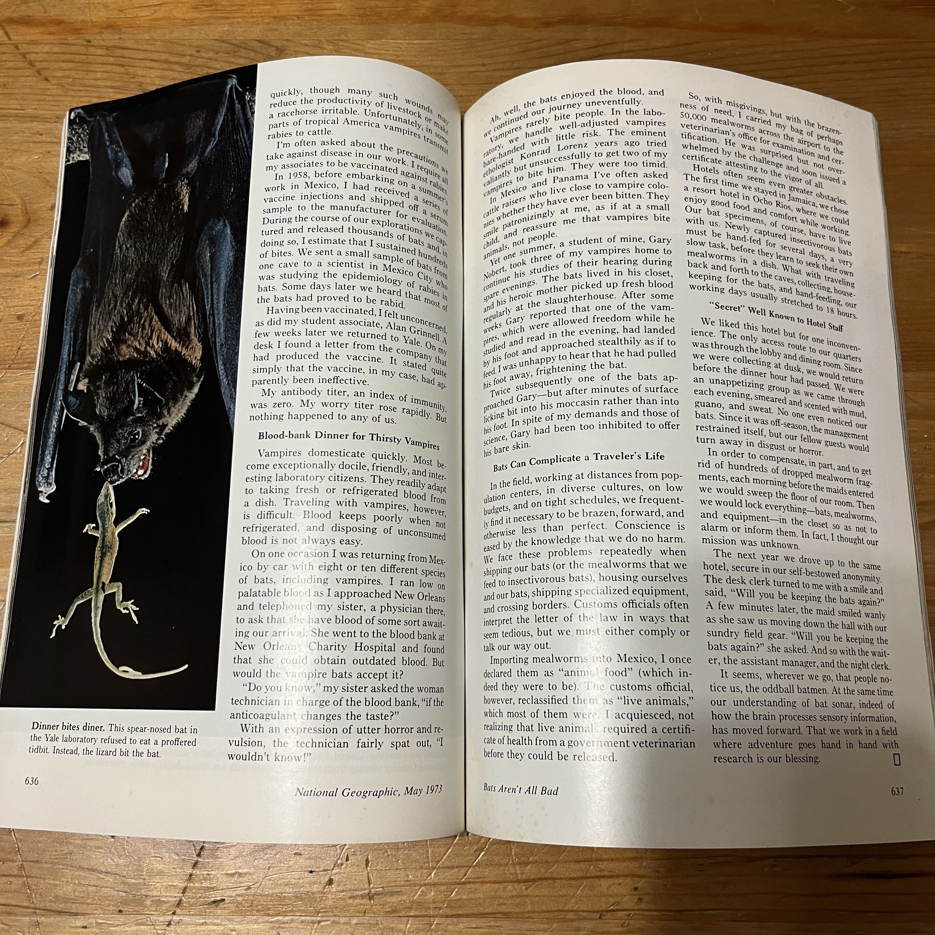 Magazine - May 1973-Wild Horses Cover — image 2