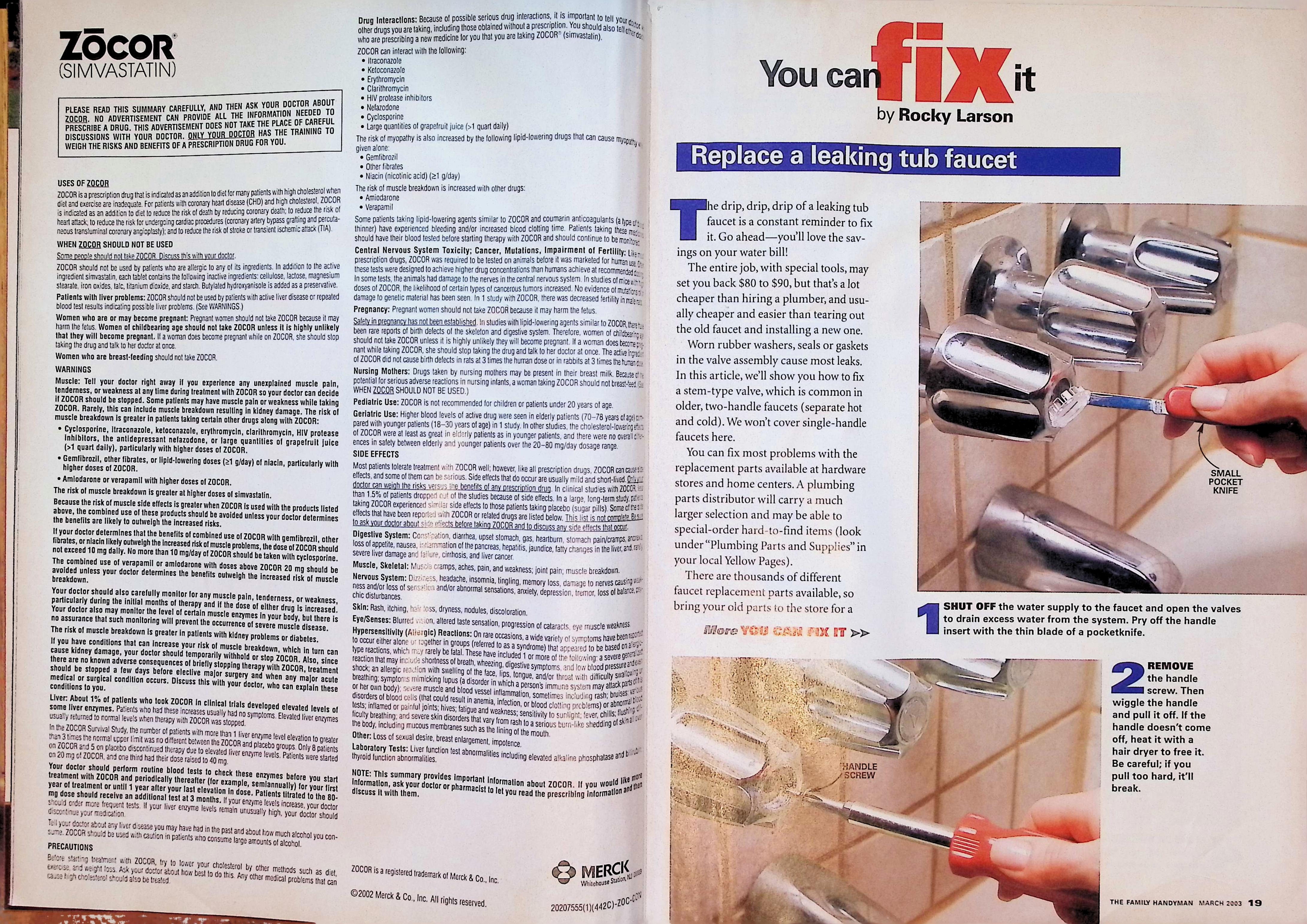 The Family Handyman Deck Shade Project March 2003 — image 3