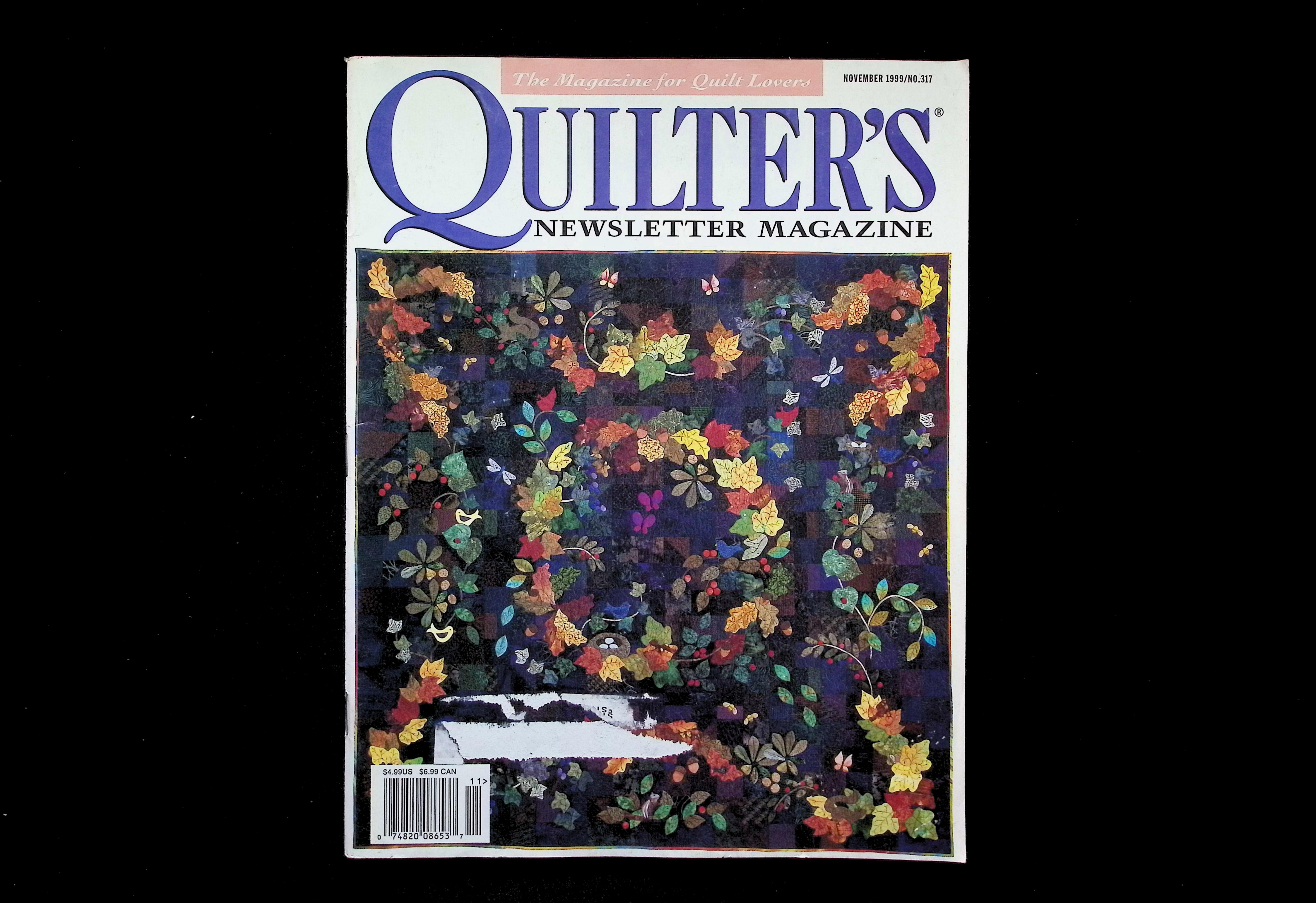 Quilter's Newsletter Magazine