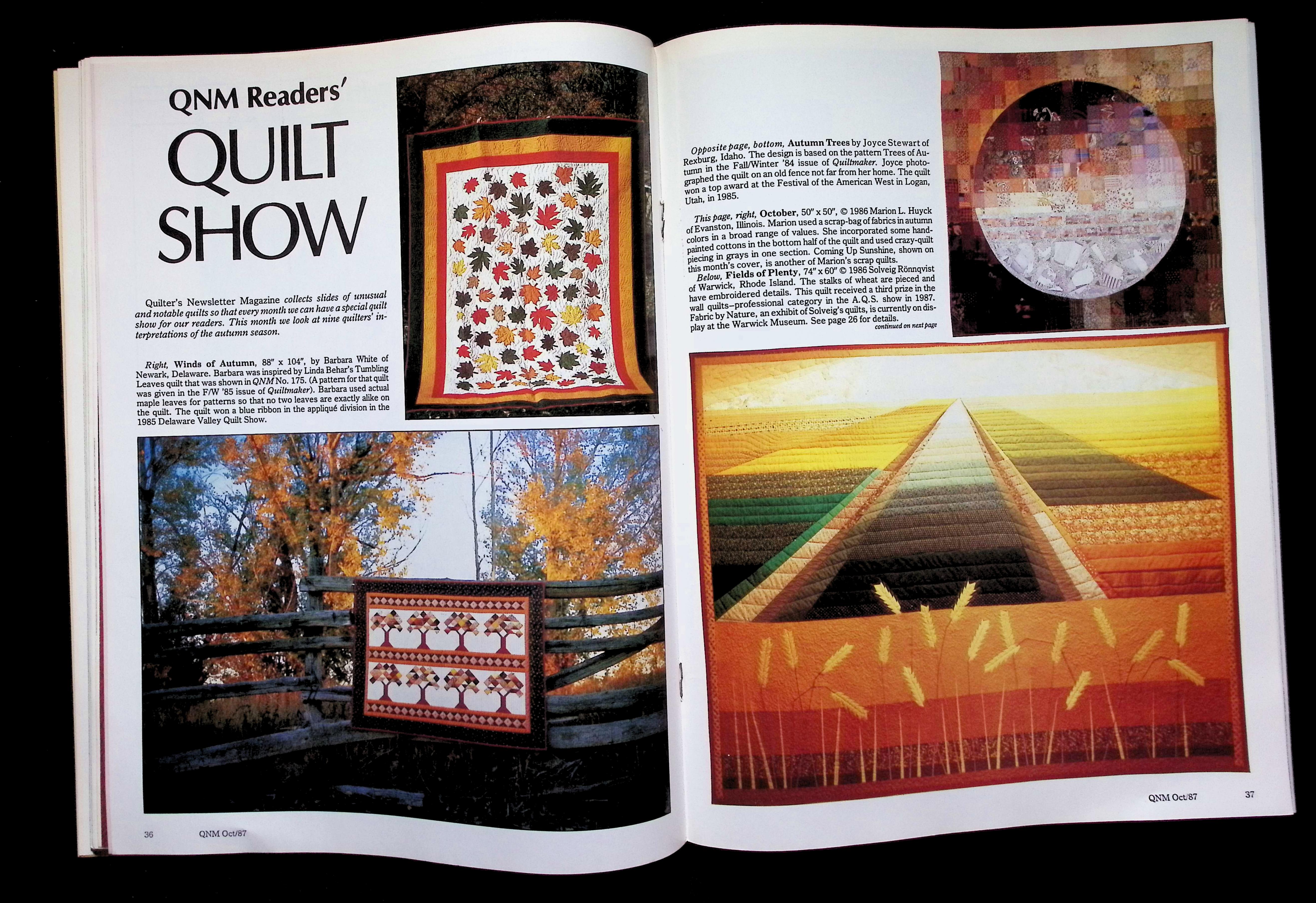 Quilter's Newsletter Magazine — image 5