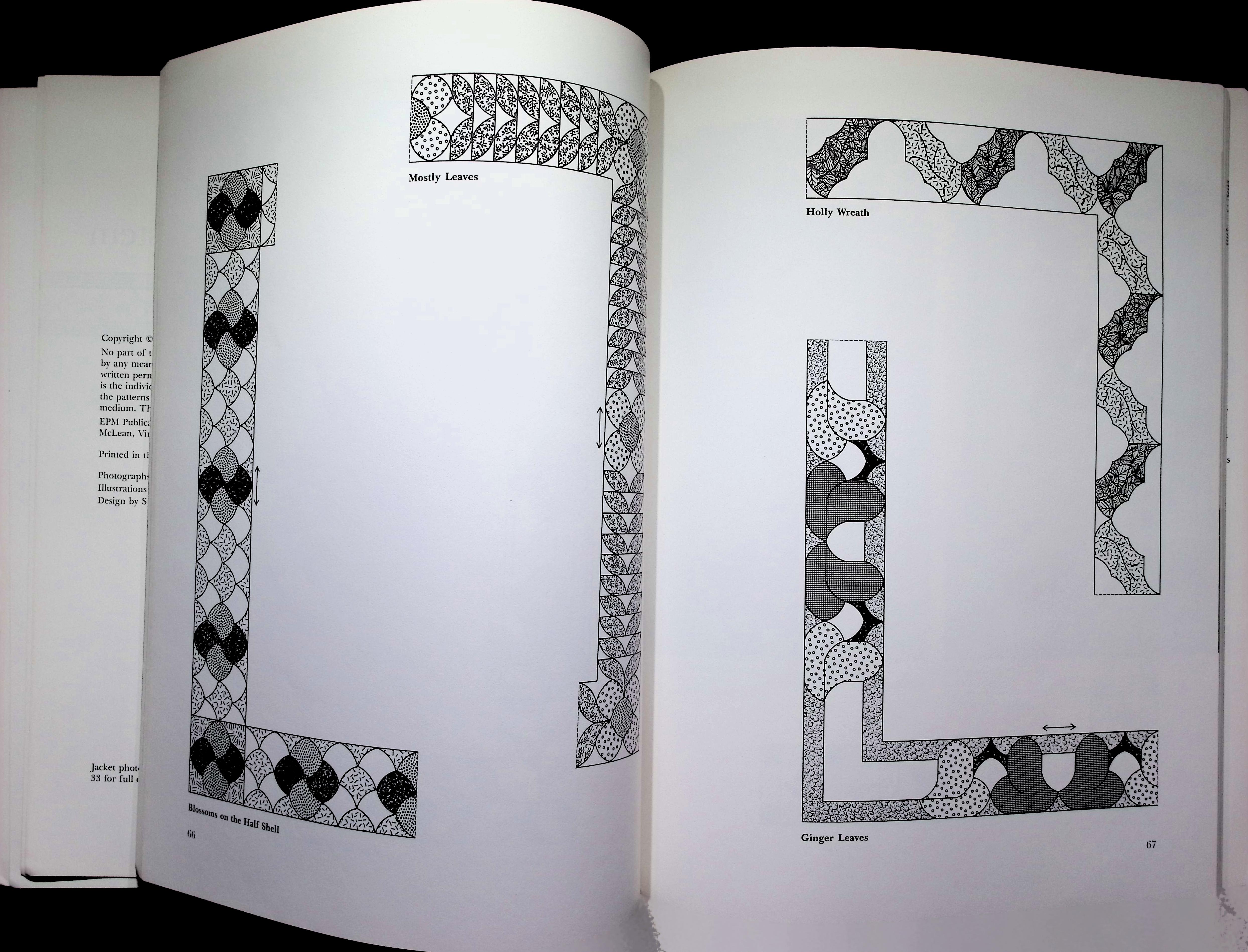 The Curved Two-patch System — image 3