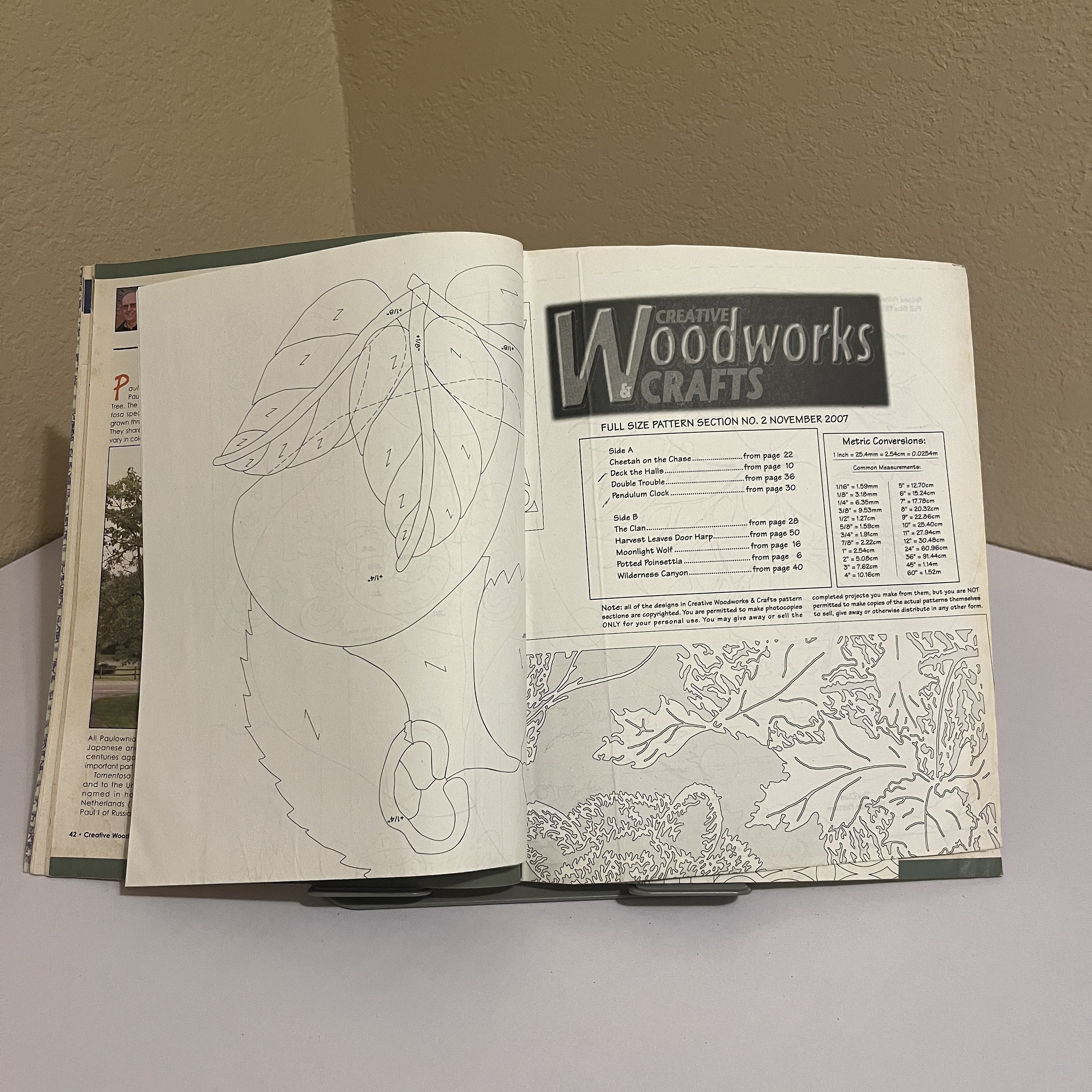 Woodworks & Crafts Magazine Nov 2007 Raccoon Wood Art — image 3