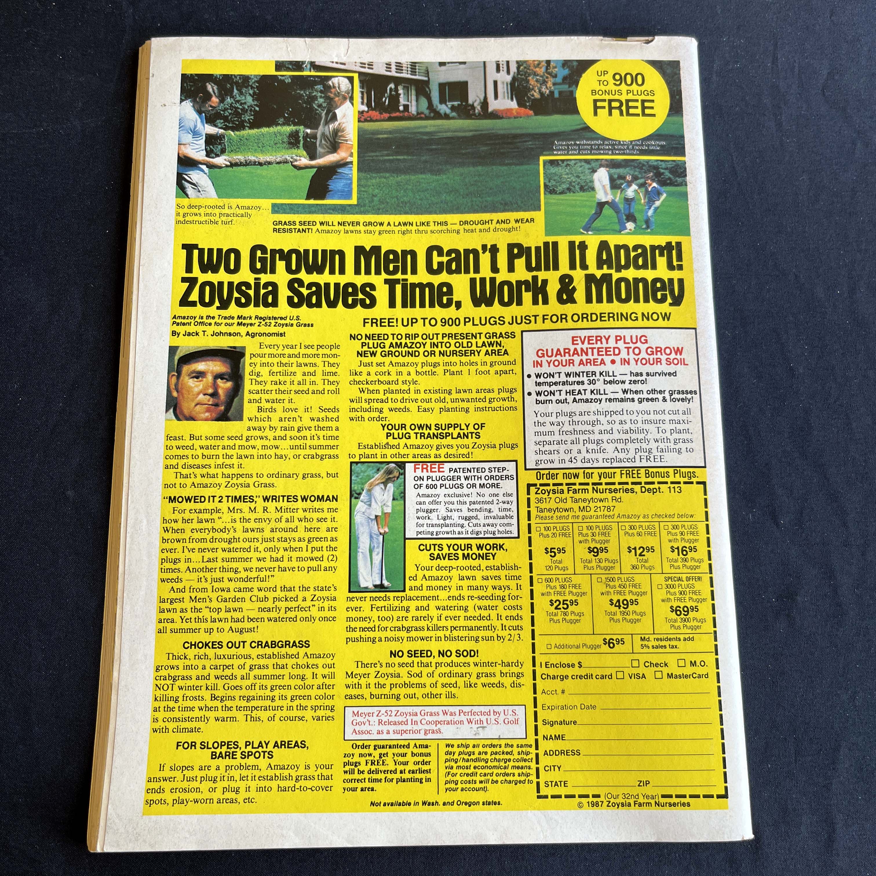 Workbench Magazine June 1987 Home Landscaping — image 5