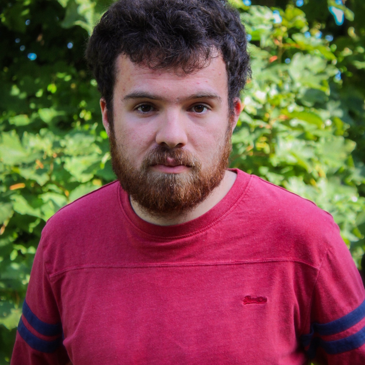 Adam Dorr