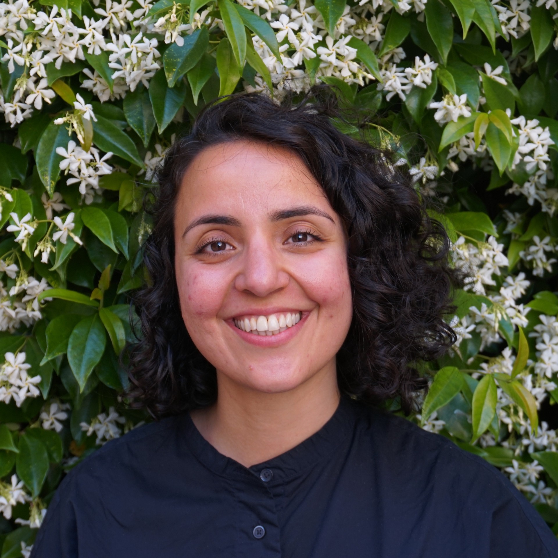 Saba Nowroozi