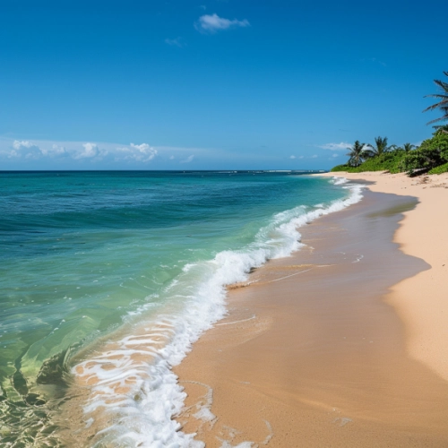 Create an idyllic image that captures the essence of a paradisiacal beach on a bright, sunny day. The scene is centered around a pristine white sand beach that stretches invitingly, its fine, powdery texture glistening under the sun. The ocean water is a clear, inviting shade of turquoise, transparent near the shore and deepening in color as it merges with the horizon. The sunlight enhances the vibrancy of the water, creating sparkling reflections that dance on the surface. The beach is framed by a lush, tropical landscape, with palm trees swaying gently in the breeze, providing occasional patches of shade. The sky is a brilliant blue, with only a few wispy clouds, accentuating the feeling of a perfect, unspoiled day in paradise