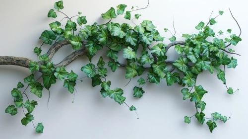 stretched ivy, white background, withou shadow, varied positions, very detailed, octane render, high quality, realism,