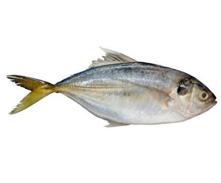 Trevally Fish / Paarai / அயல பாறை மீன் - 500gm