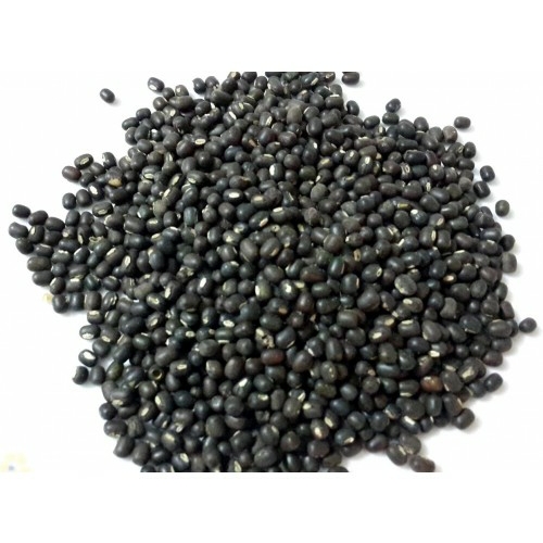 Urad Whole Black - 500 Grams