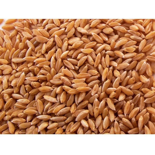 Farmi Sharbati Special Wheat Atta -5 Kg