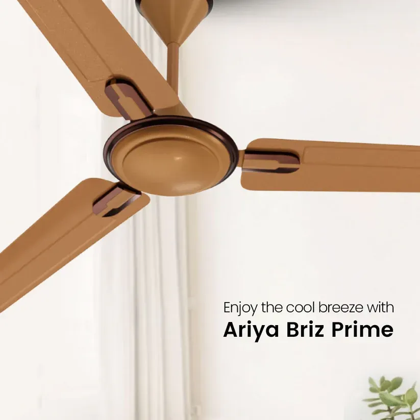 Crompton Ariyabriz Prime 48" 1200 MM 3 Blade Ceiling Fan (Coral Gold)