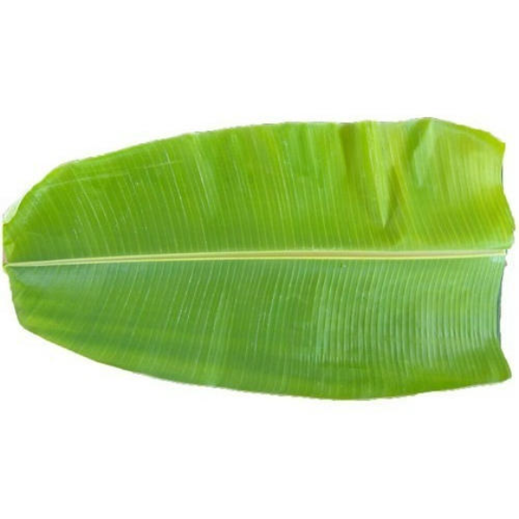 Double Side விருந்து வாழை இலை / Banana Leaf / Lunch Size - 1 Nos
