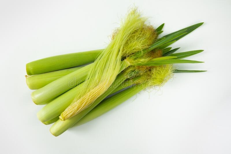 பேபி கார்ன் / Baby Corn Unpeeled ~10pc - 1 Packet