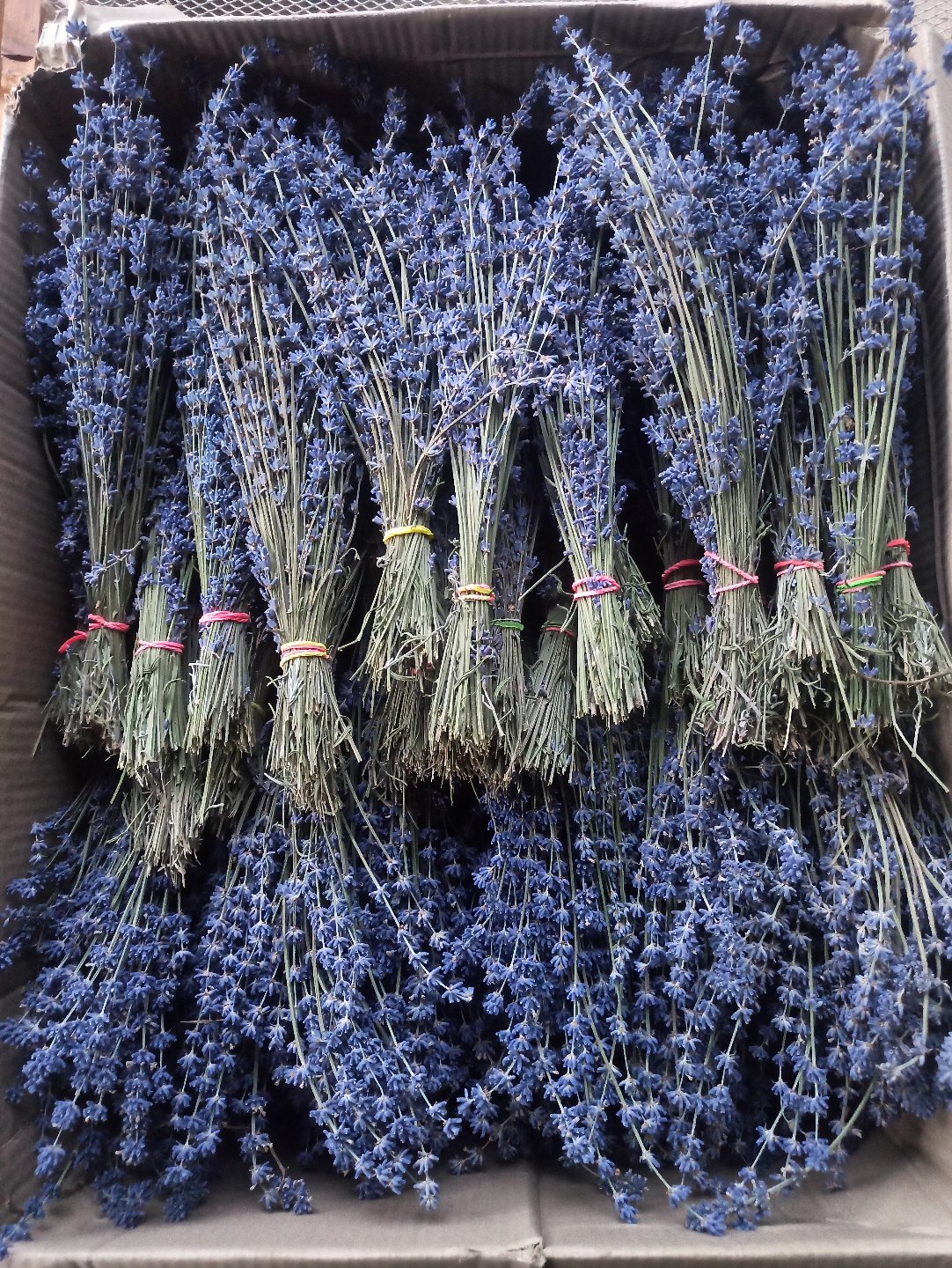 Lavender Bunches