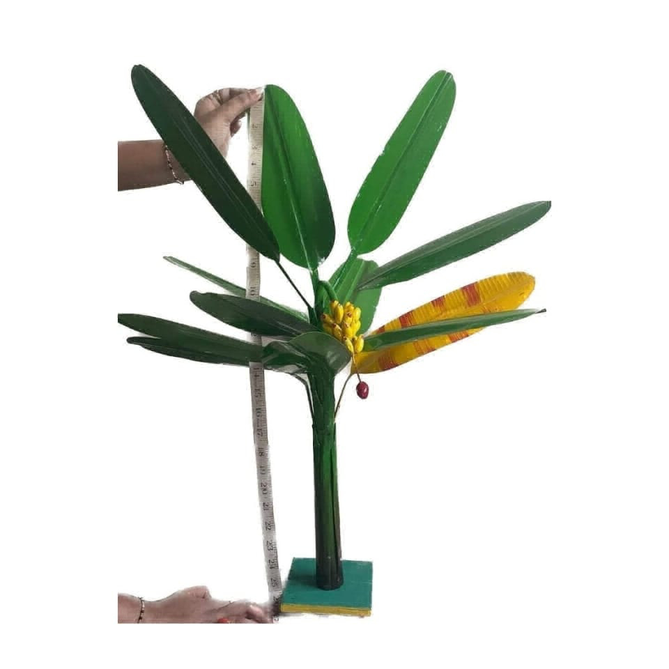 Simonart and Printing Artificial banana Tree 1.6 Ft  - 1.6 Ft, 0.7