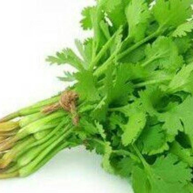 Fresho Green Coriander / हरा धनिया  - 250Gm