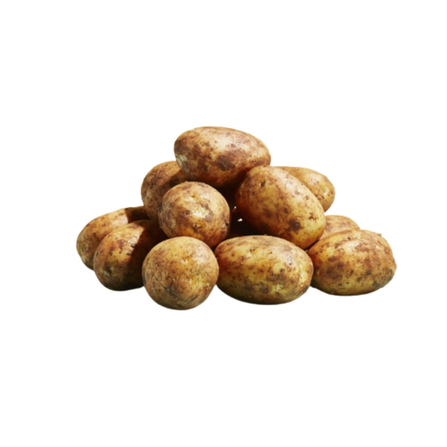 Fresho Potato White /सफेद आलू - 2Kg