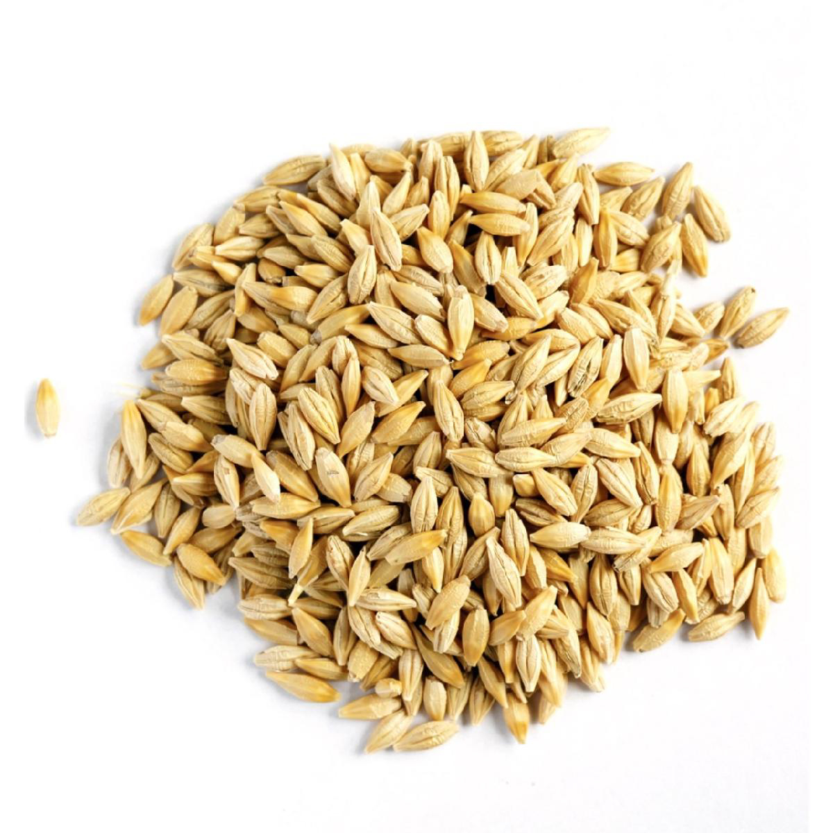 Barley/जौ - 100Gm