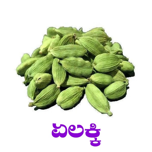 ELACHI