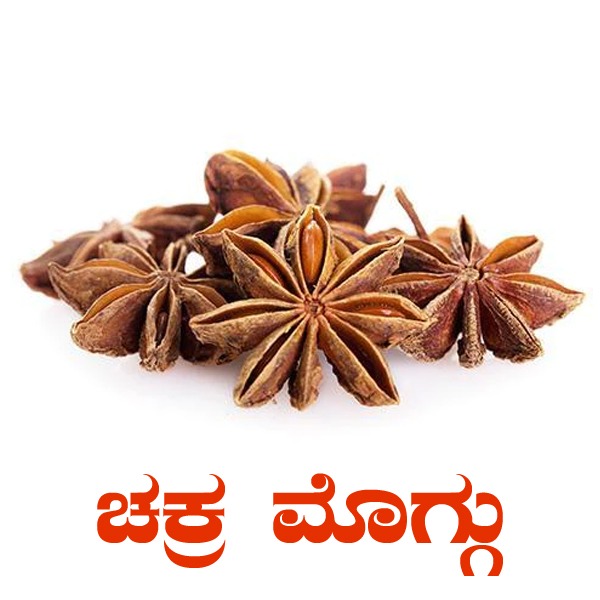 STAR ANISE