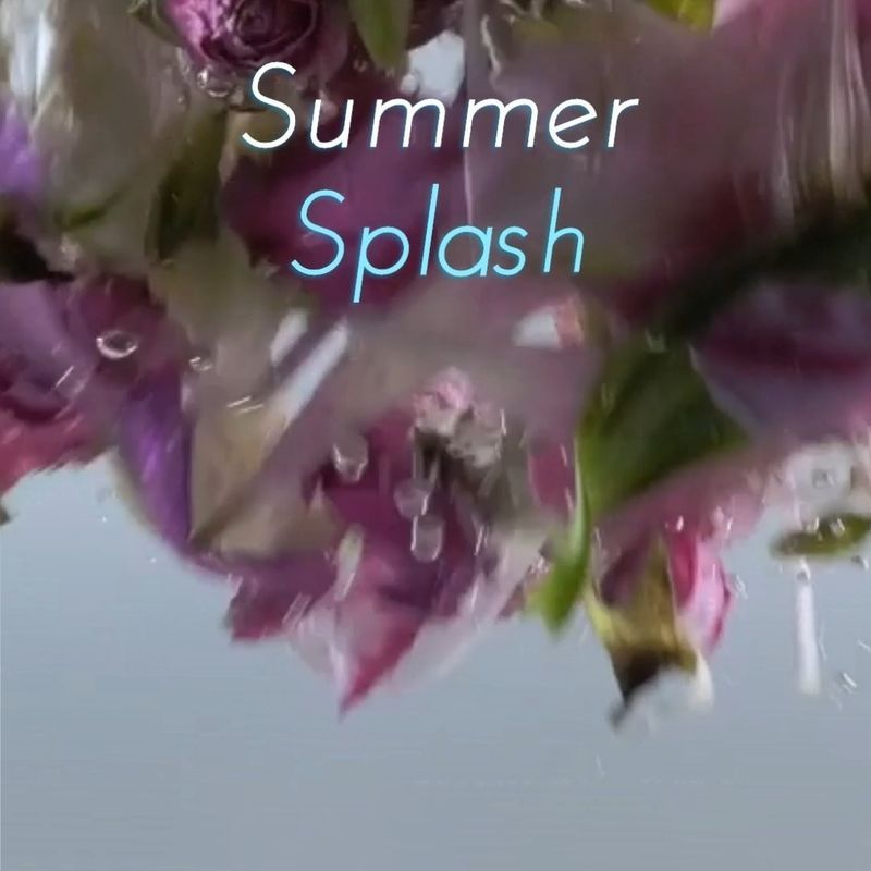 Introducing Summer Splash: Your Ultimate Refreshment Tool