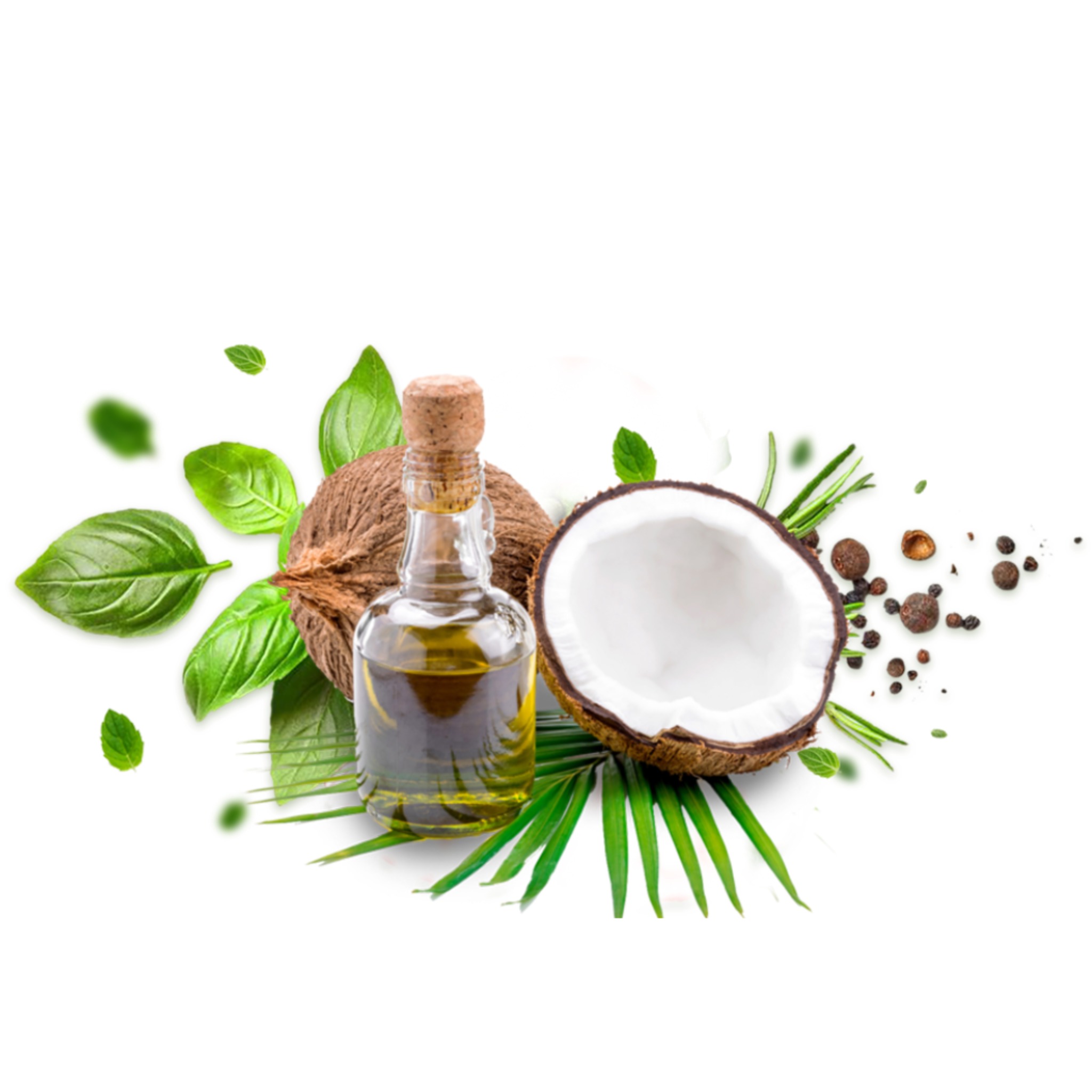 Coconut Oil / தேங்காய் எண்ணெய்