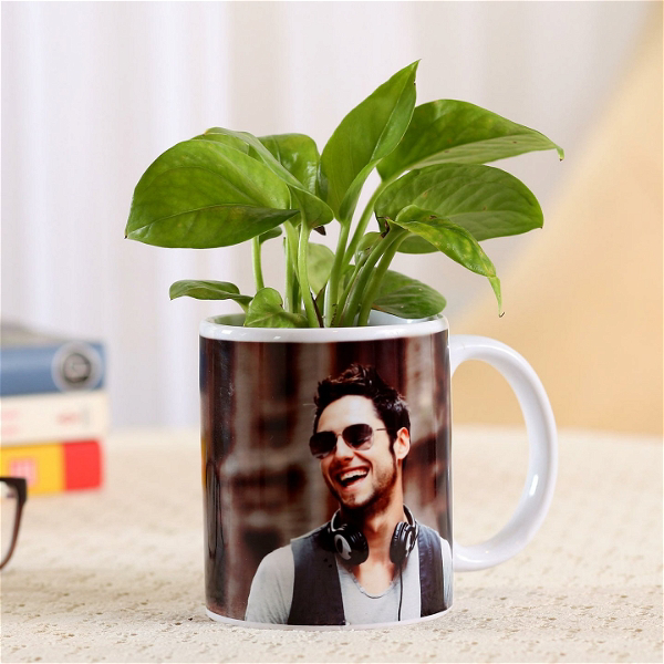 Money Plant In Stylish Personalised Mug White