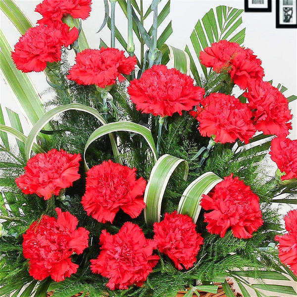 Red Carnations Basket