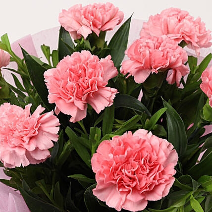 Pink Carnations Bouquet