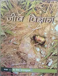 Class 1st Entrance Exam Practice Work Book with Previous Year Question Papers for AMU