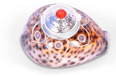 Tiger Cowdie Sindoor Box - Fancy Sindoor Box - Sea shell - Sindoor Box - Wedding Return Gift - Dani Box - Sindoor Dibbi - Kumkum Box