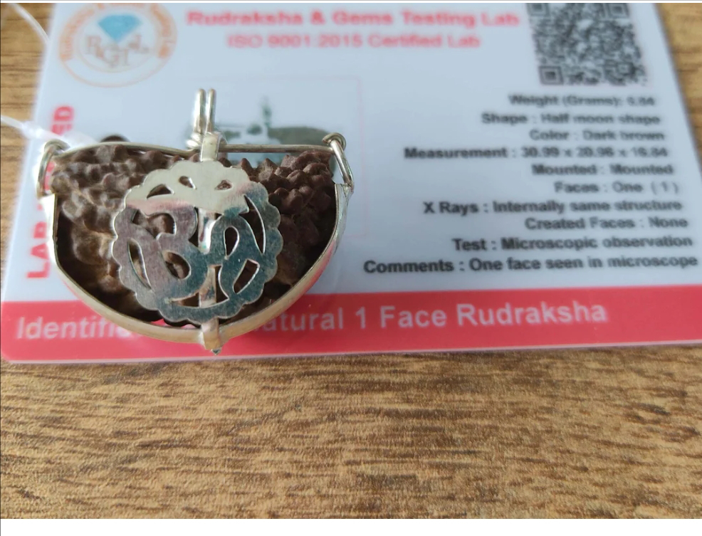  Original Lab Certified 1 mukhi Rudraksha (half moon shape) ஒரு முகி ருத்ராட்சம்