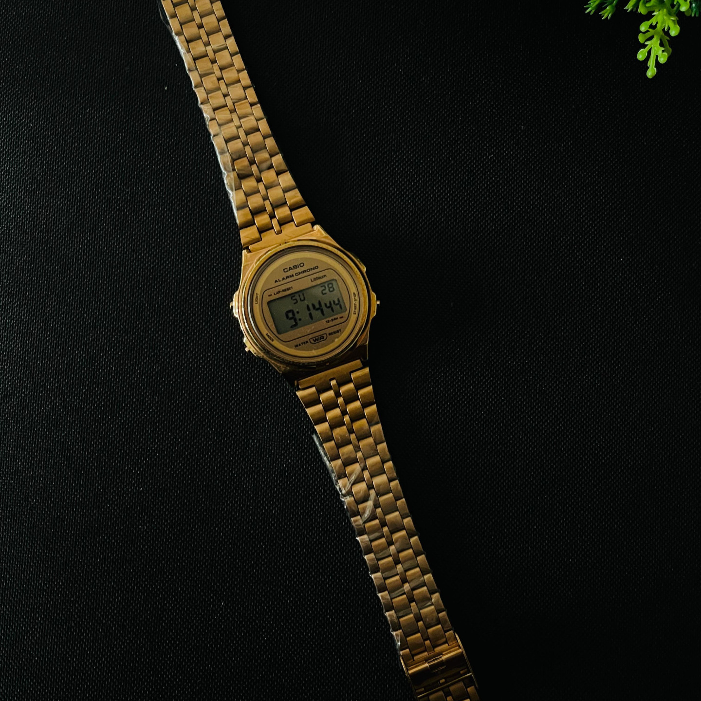 Casio Watch