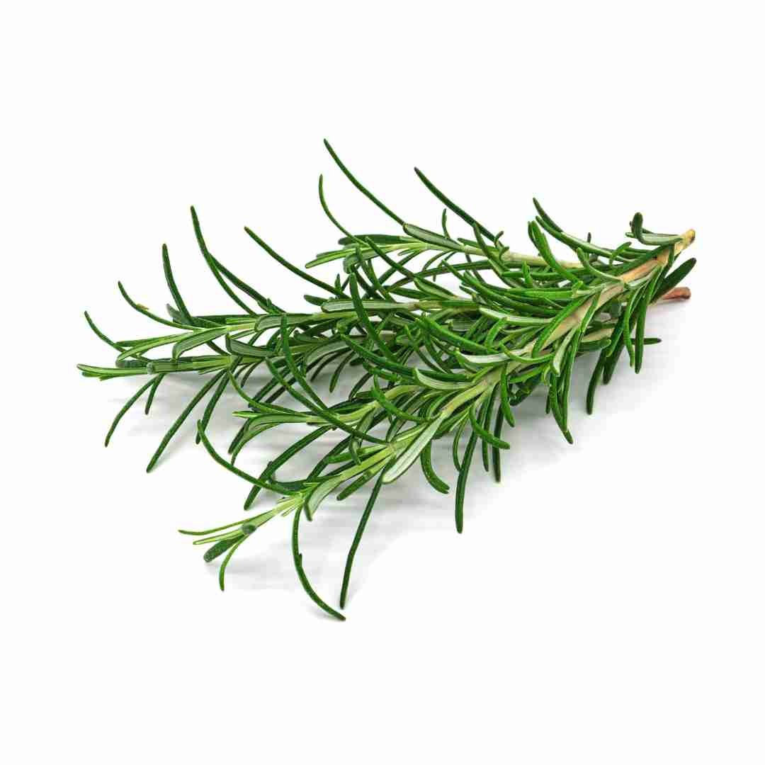 Exotic Rosemary Leaves - 100gm