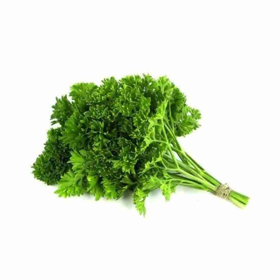 Exotic Parsley Leaf - 100gm