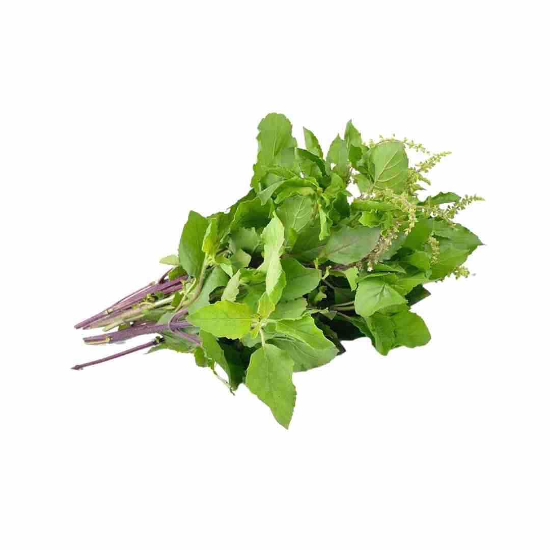 Exotic Basil Leaves - 100gm