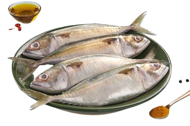 Bangda Fish