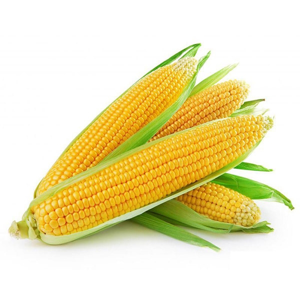  Corn-Raw-1PC