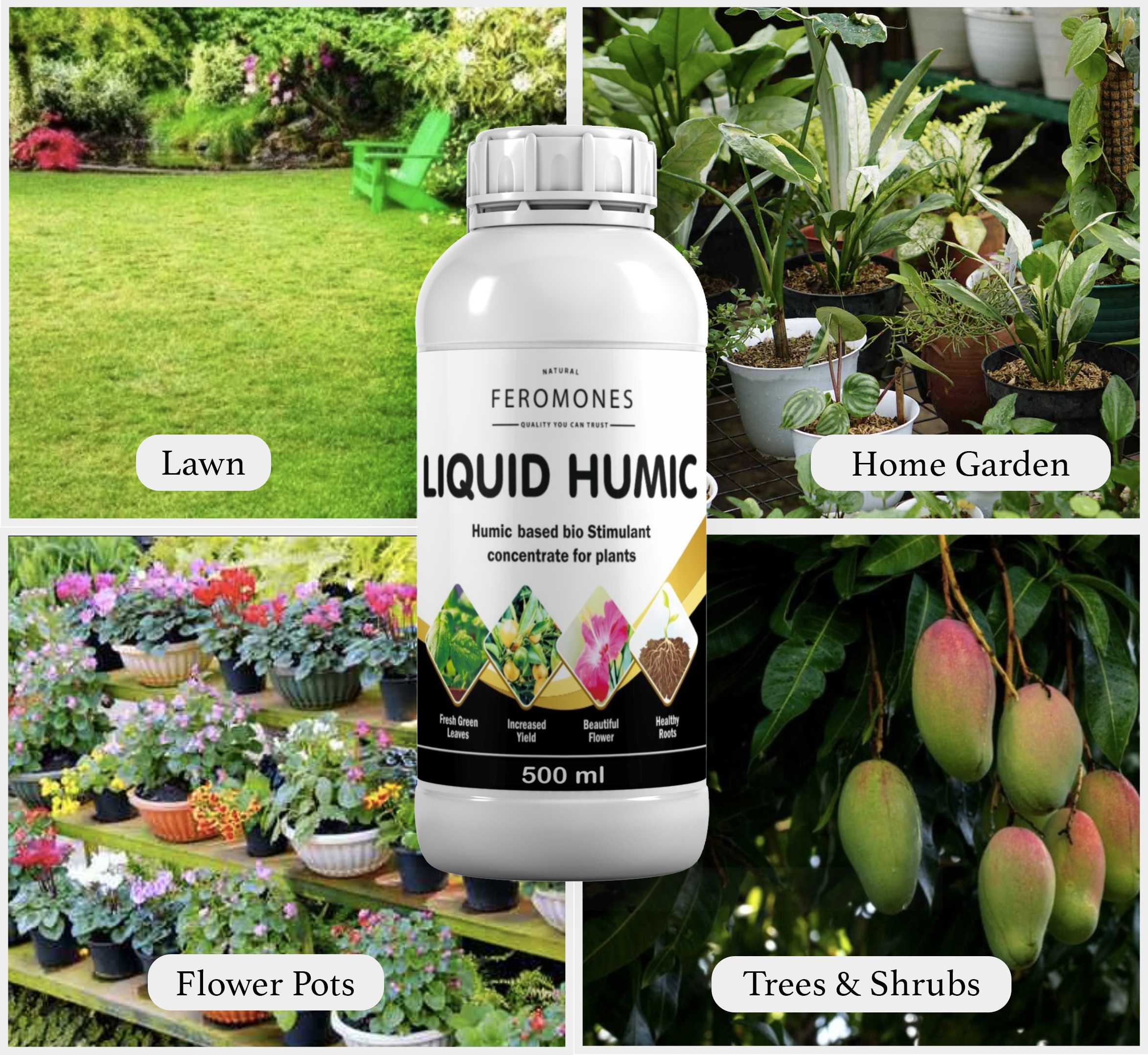 Feromones Humic Acid Fertilizer for plants - Suitable For all types of plants Fertilizer - 250 Ml