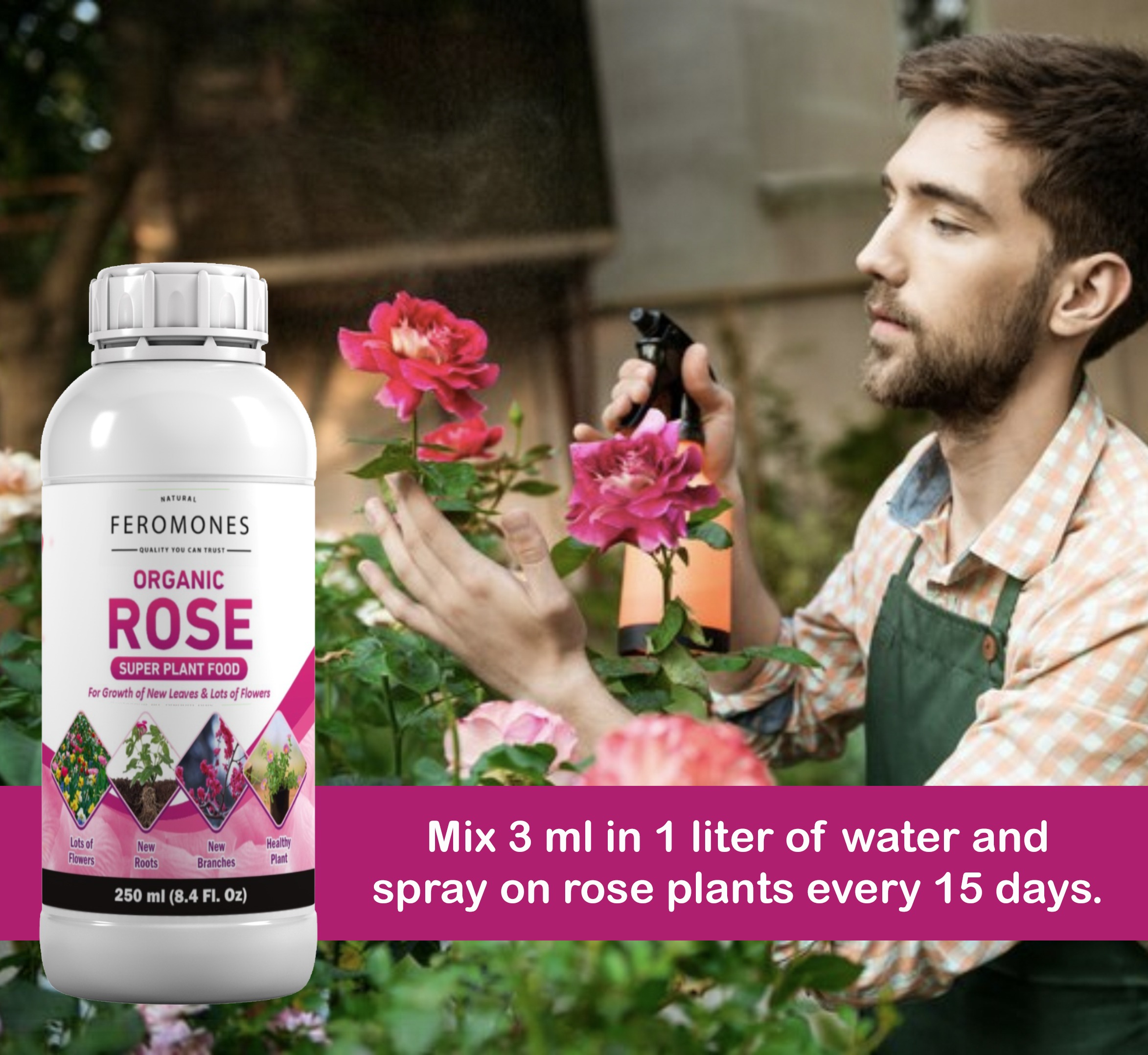 Feromones Organic Rose Super Plant Food - For Rose Plants Growth and Flowering Fertilizer, Potting Mixture - 250 ML