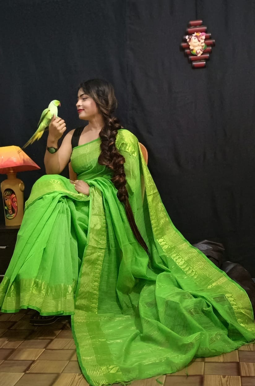 Handloom Golden Zari Woven Border Saree
