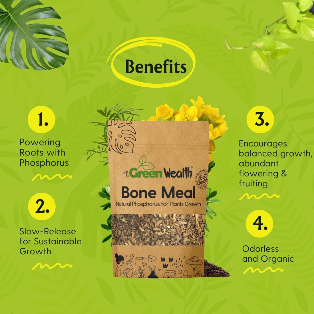 TheGreenWealth Bone Meal  - 1000 GM