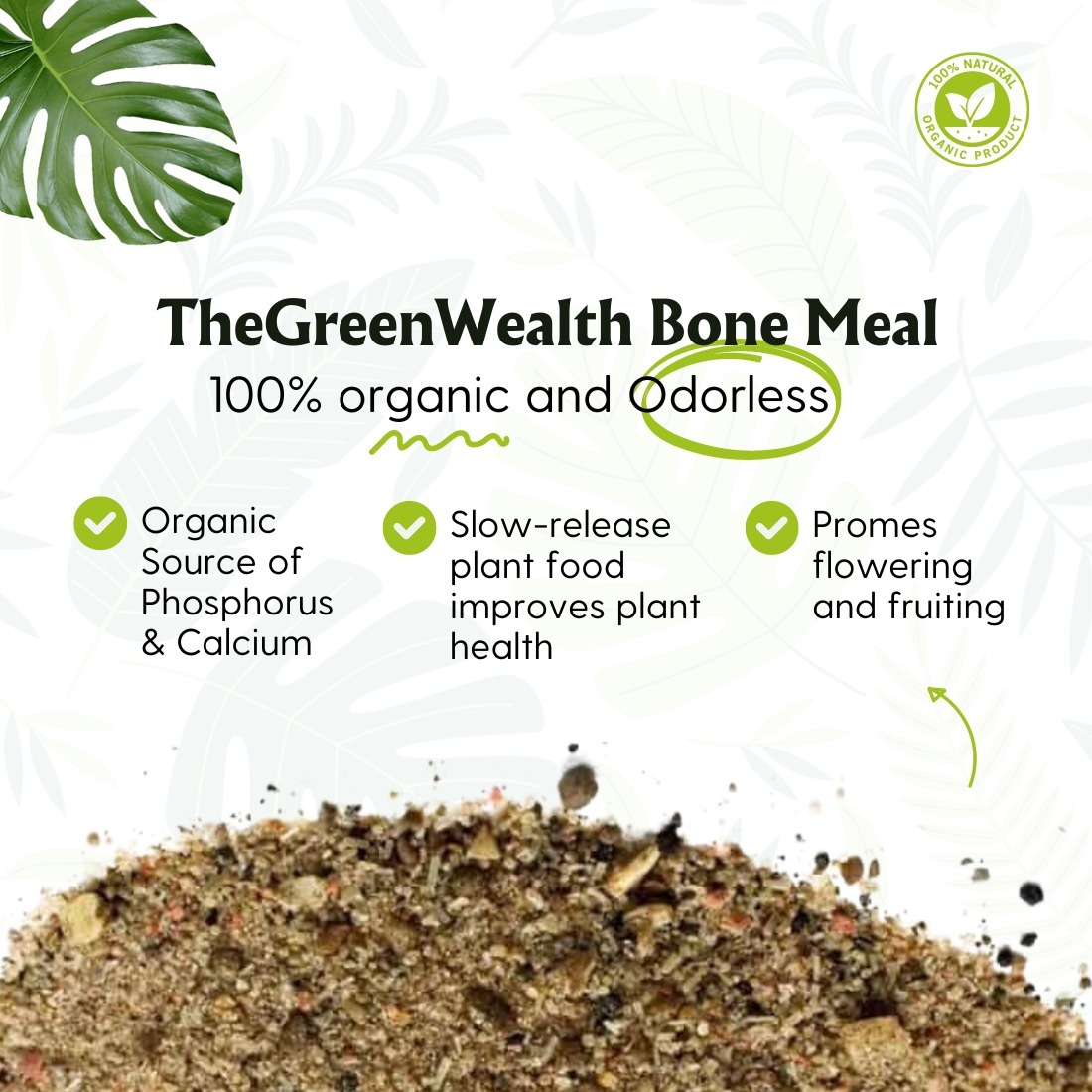 TheGreenWealth Bone Meal  - 1000 GM