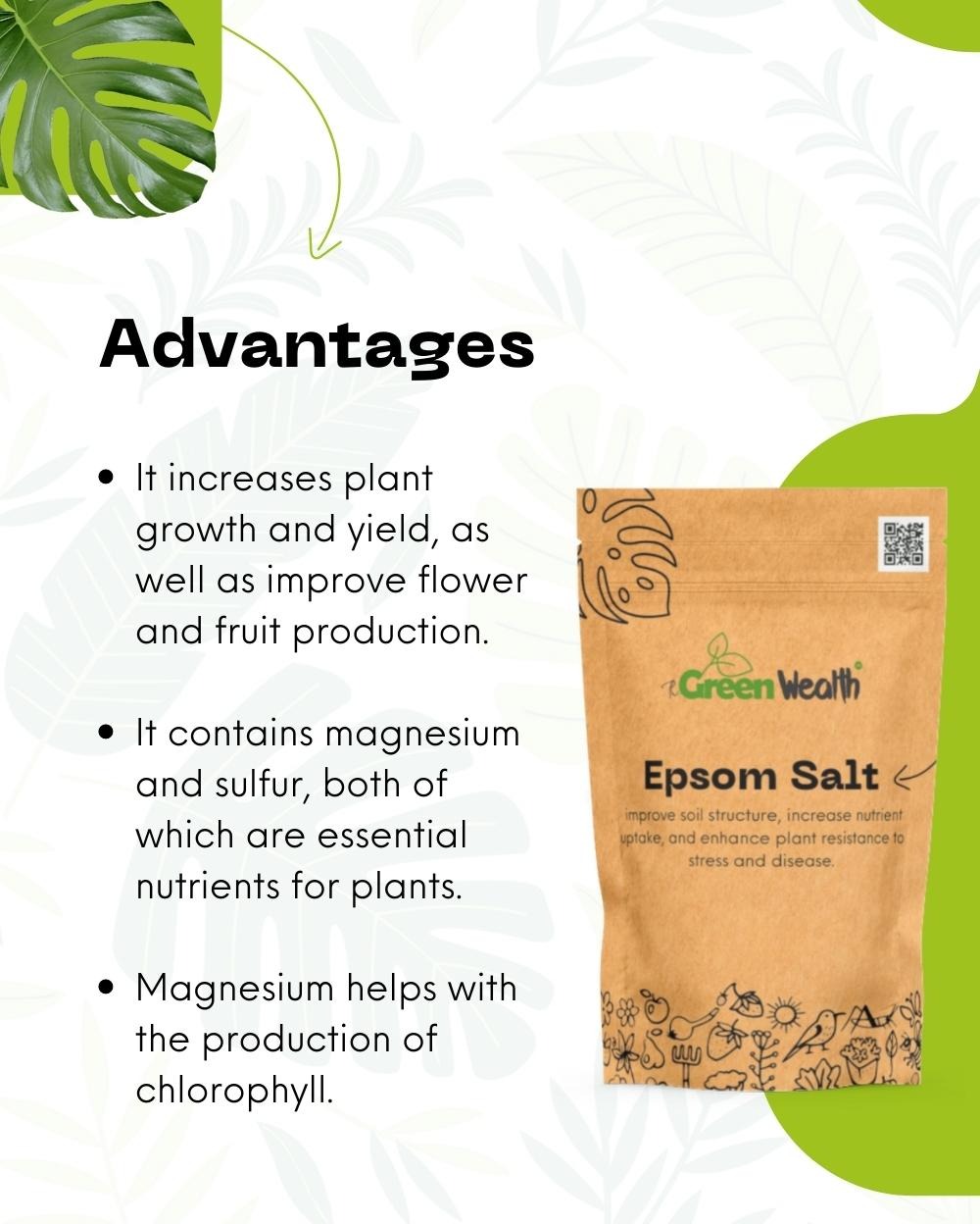 TGW Epsom Salt - 250 gm