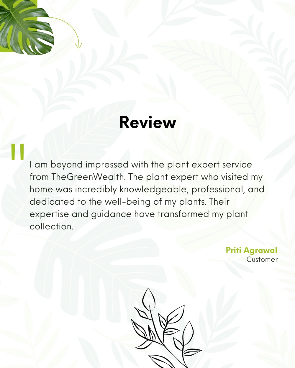 TGW Plant Expert At Home 