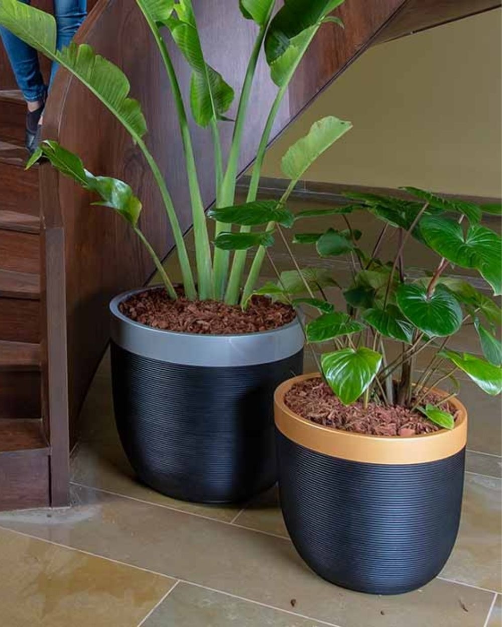 MILANO SHORT-DUAL TONE PLANTER - 12 Inch, Gold & Black