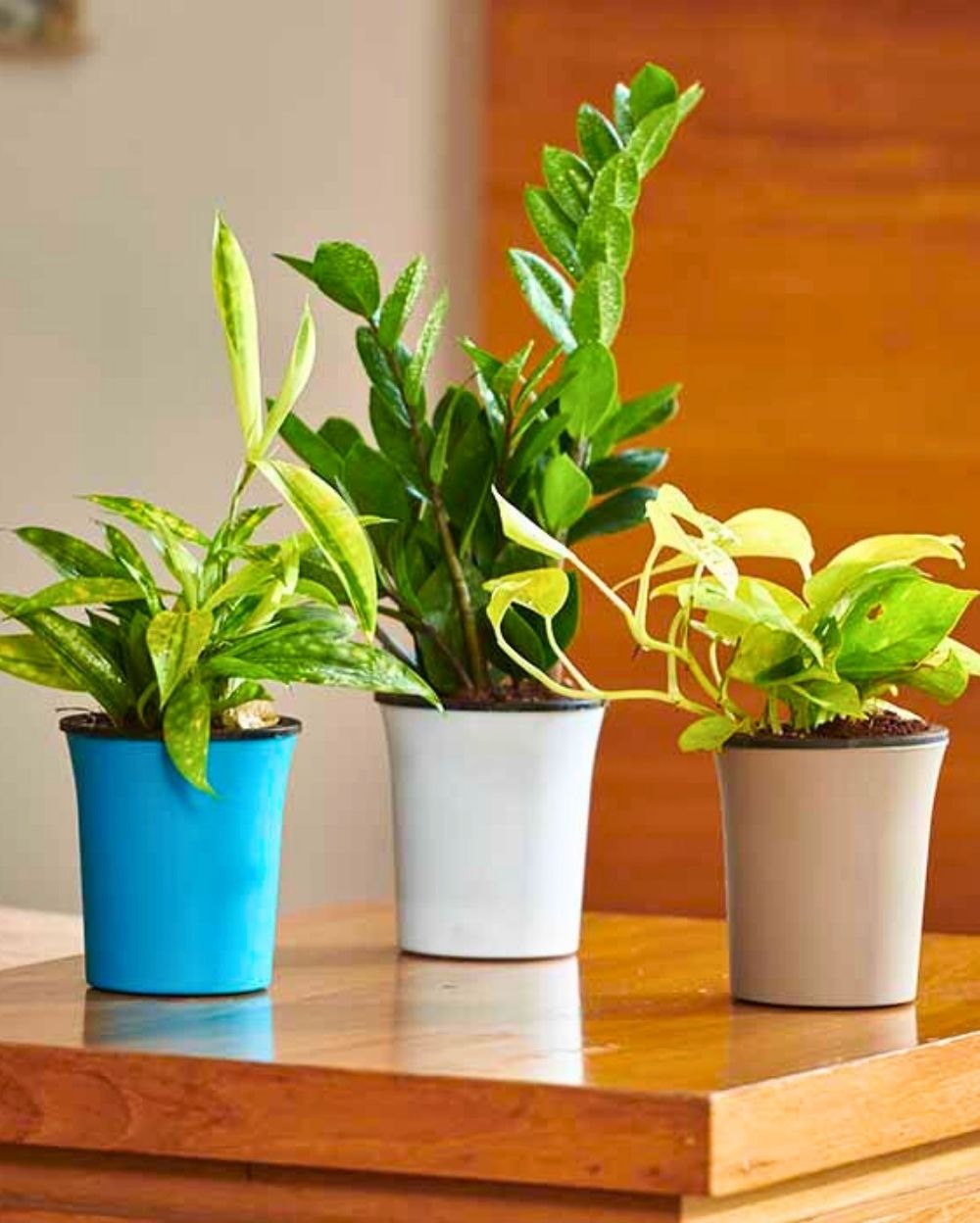 Set of 2  OSLO PLANTERS  - 4 Inch, Mocca