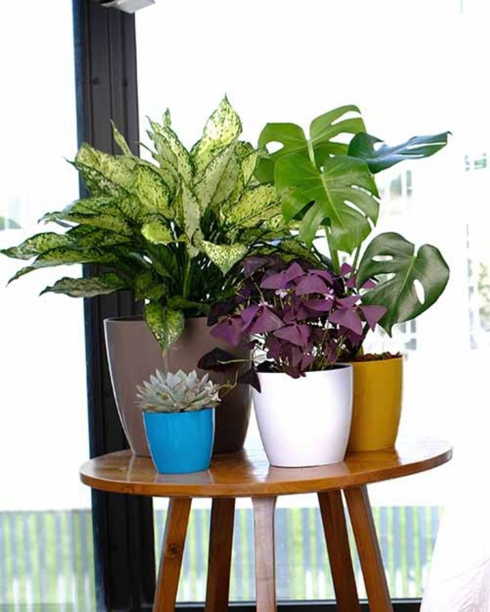 Set of 2 VALENCIA PLANTERS - 4 Inch, Mocca