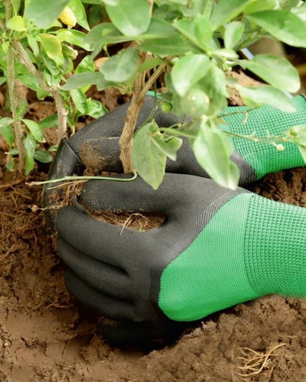 GARDENING GLOVES - Black And Green